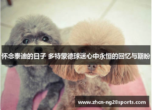 怀念泰迪的日子 多特蒙德球迷心中永恒的回忆与期盼