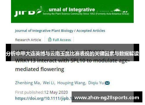 分析中甲大连英博与云南玉昆比赛表现的关键因素与数据解读